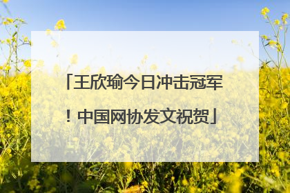 王欣瑜今日冲击冠军！中国网协发文祝贺