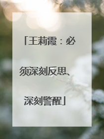 王莉霞：必须深刻反思、深刻警醒