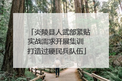 炎陵县人武部紧贴实战需求开展集训 打造过硬民兵队伍