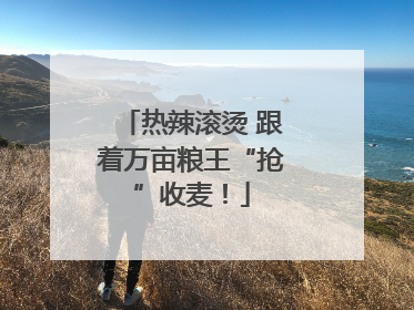 热辣滚烫 跟着万亩粮王“抢”收麦！
