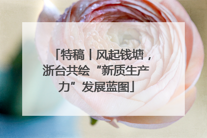 特稿丨风起钱塘，浙台共绘“新质生产力”发展蓝图