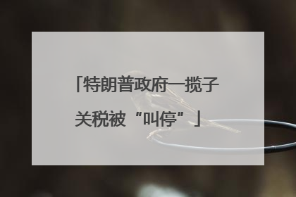 特朗普政府一揽子关税被“叫停”