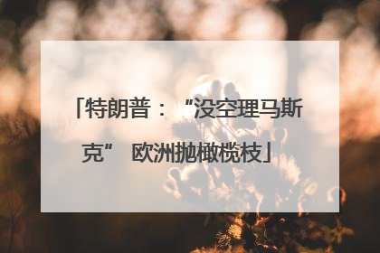 特朗普：“没空理马斯克” 欧洲抛橄榄枝