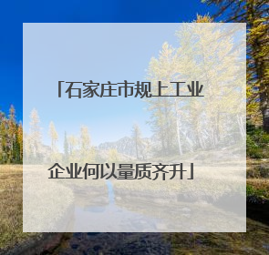 石家庄市规上工业企业何以量质齐升