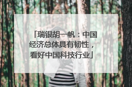 瑞银胡一帆：中国经济总体具有韧性，看好中国科技行业
