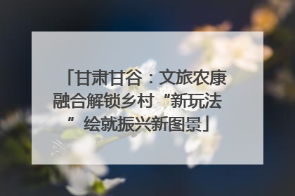 甘肃甘谷：文旅农康融合解锁乡村“新玩法”绘就振兴新图景