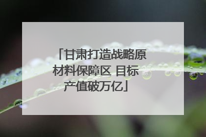 甘肃打造战略原材料保障区 目标产值破万亿