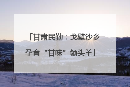 甘肃民勤：戈壁沙乡孕育“甘味”领头羊