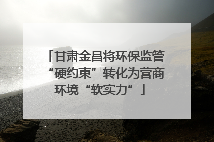 甘肃金昌将环保监管“硬约束”转化为营商环境“软实力”