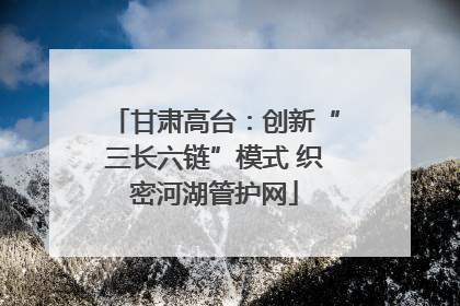 甘肃高台：创新“三长六链”模式 织密河湖管护网