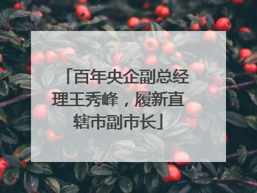 百年央企副总经理王秀峰，履新直辖市副市长