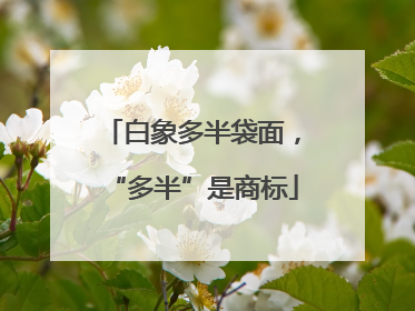 白象多半袋面，“多半”是商标