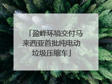 盈峰环境交付马来西亚首批纯电动垃圾压缩车
