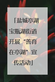 盐城亭湖宝瓶湖街道开展“善育在亭湖”宣传活动
