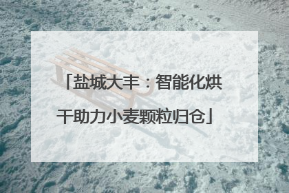 盐城大丰：智能化烘干助力小麦颗粒归仓