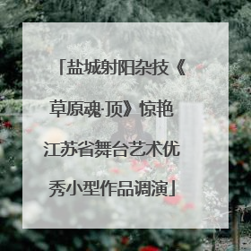 盐城射阳杂技《草原魂·顶》惊艳江苏省舞台艺术优秀小型作品调演