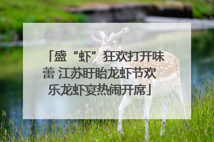 盛“虾”狂欢打开味蕾 江苏盱眙龙虾节欢乐龙虾宴热闹开席
