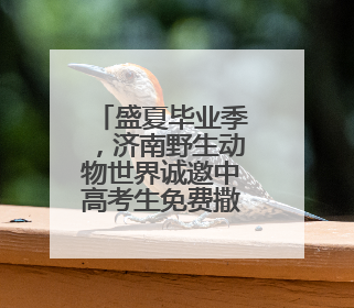 盛夏毕业季，济南野生动物世界诚邀中高考生免费撒欢！