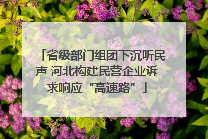 省级部门组团下沉听民声 河北构建民营企业诉求响应“高速路”
