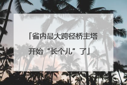 省内最大跨径桥主塔开始“长个儿”了