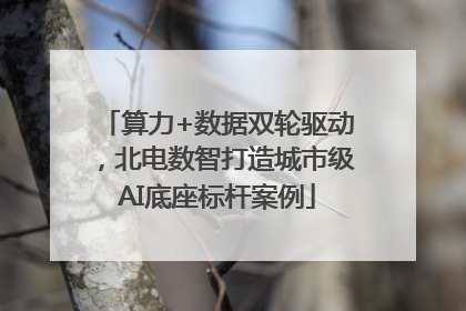 算力+数据双轮驱动，北电数智打造城市级AI底座标杆案例