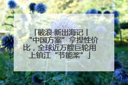 破浪·新出海记丨 “中国方案”拿捏性价比，全球近万艘巨轮用上镇江“节能桨”
