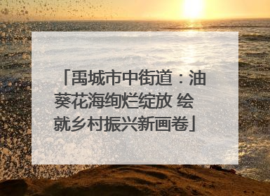 禹城市中街道：油葵花海绚烂绽放 绘就乡村振兴新画卷