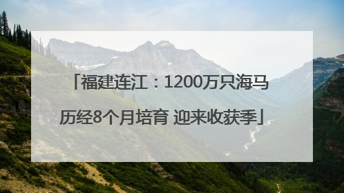 福建连江：1200万只海马历经8个月培育 迎来收获季