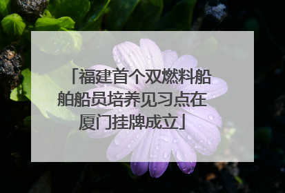 福建首个双燃料船舶船员培养见习点在厦门挂牌成立