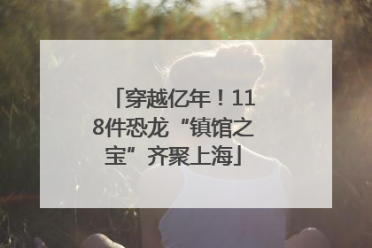 穿越亿年！118件恐龙“镇馆之宝”齐聚上海