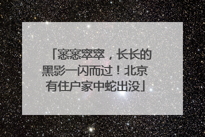 窸窸窣窣，长长的黑影一闪而过！北京有住户家中蛇出没
