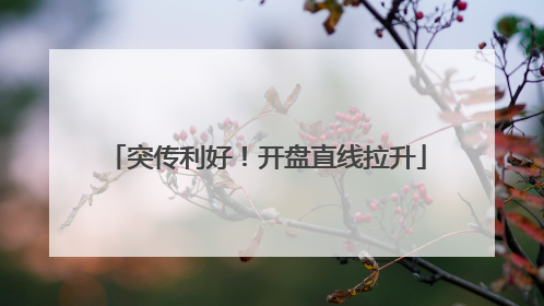 突传利好！开盘直线拉升
