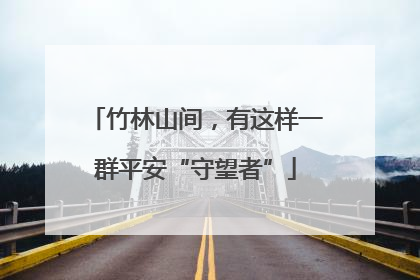 竹林山间，有这样一群平安“守望者”