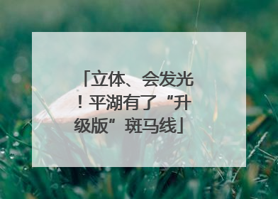立体、会发光！平湖有了“升级版”斑马线