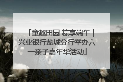 童趣田园 粽享端午｜兴业银行盐城分行举办六一亲子嘉年华活动