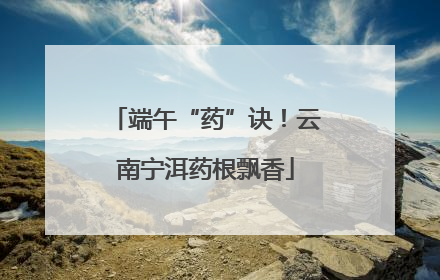 端午“药”诀！云南宁洱药根飘香