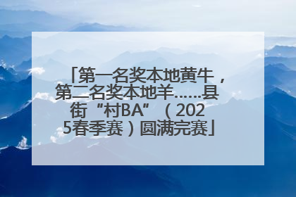 第一名奖本地黄牛，第二名奖本地羊……县街“村BA”（2025春季赛）圆满完赛