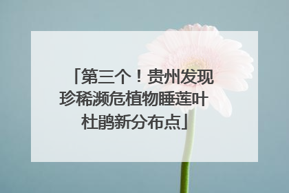 第三个！贵州发现珍稀濒危植物睡莲叶杜鹃新分布点