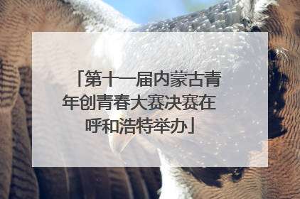 第十一届内蒙古青年创青春大赛决赛在呼和浩特举办