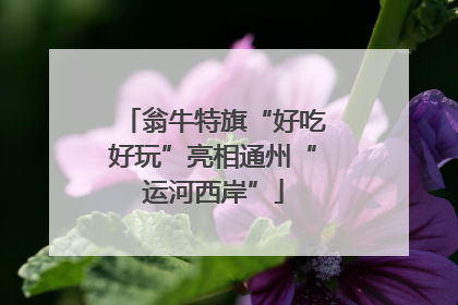 翁牛特旗“好吃好玩”亮相通州“运河西岸”