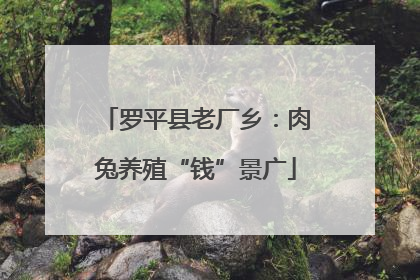 罗平县老厂乡：肉兔养殖“钱”景广
