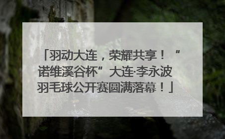 羽动大连，荣耀共享！“诺维溪谷杯”大连·李永波羽毛球公开赛圆满落幕！
