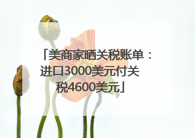 美商家晒关税账单：进口3000美元付关税4600美元