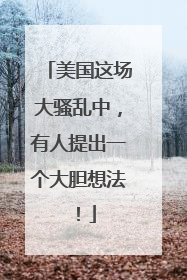 美国这场大骚乱中，有人提出一个大胆想法！