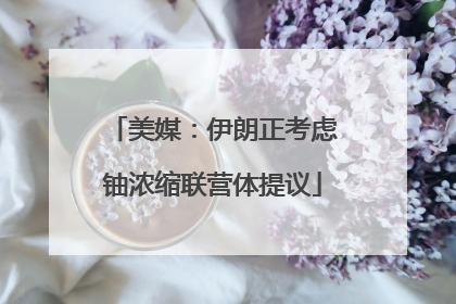 美媒：伊朗正考虑铀浓缩联营体提议