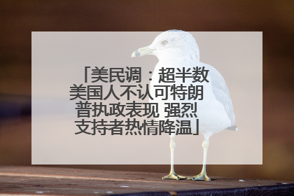 美民调：超半数美国人不认可特朗普执政表现 强烈支持者热情降温