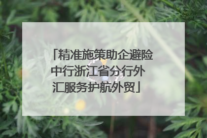 精准施策助企避险 中行浙江省分行外汇服务护航外贸