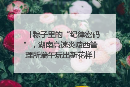 粽子里的“纪律密码”，湖南高速炎陵西管理所端午玩出新花样
