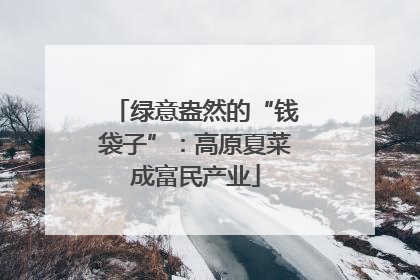 绿意盎然的“钱袋子”：高原夏菜成富民产业