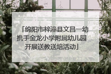 绵阳市梓潼县文昌一幼携手金龙小学附属幼儿园开展送教送培活动